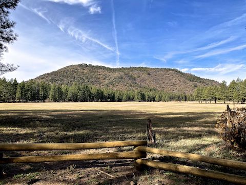 Looking from the fence on FR 620D, past the prairie, to Apache Maid Mountain.