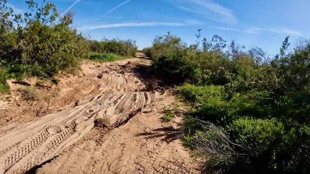 Butterfield Stage Trail: Sandy BLM 8003 at North Tank / Christmas Camp / Desert Station. Pushing an MTB is still exercise!