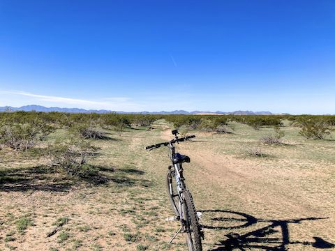 I've just west turned off Powerline Rd., onto Butterfield Stage Trail. There's still a slight groove, covered with grass, between the creosote.