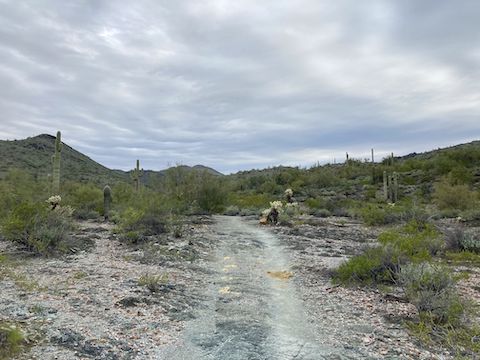 Cave Creek Regional Park (CCRP): Old ruts on Military Trail?