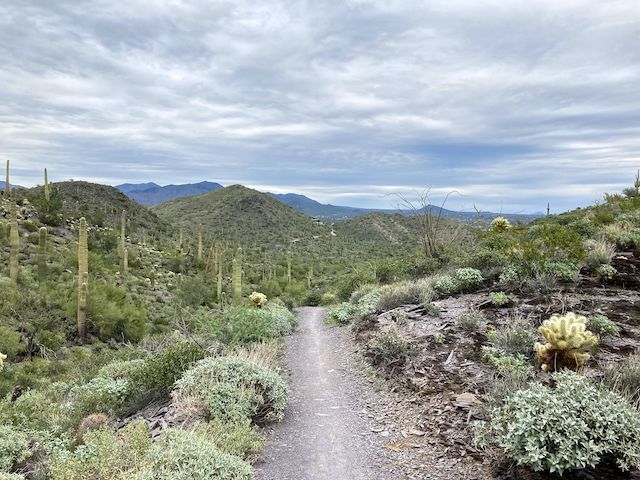 Cave Creek Regional Park (CCRP): Looking northeast, back down Flat Rock Trail, towards Go John Mountain. Continental Mountain is just to the left of Go John Mountain.