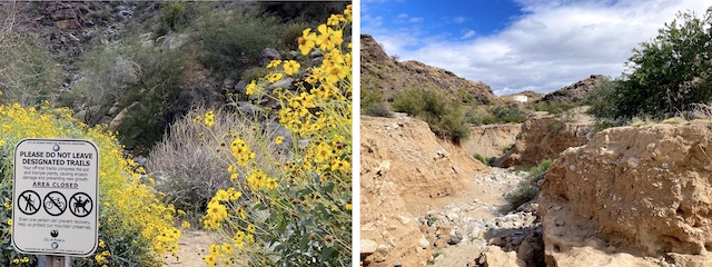 Left is the bottom of Holbert Trail. The sign said "Area Closed", but also "Do Not Leave Designated Trails". I sure as hell wasn't going to head back the way I came, so I followed the trail. Right is why it is closed.