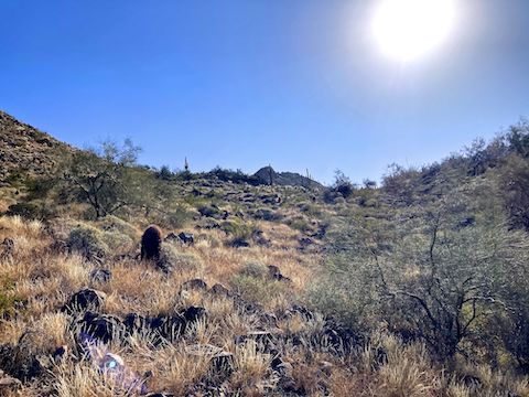 Ludden Mountain's summit peeking -- Ha! Get it? -- above the cholla saddle. My route climbed 325 ft. in 0.4 mi. (15% slope) to the saddle, about the same as North Mountain, except off trail.