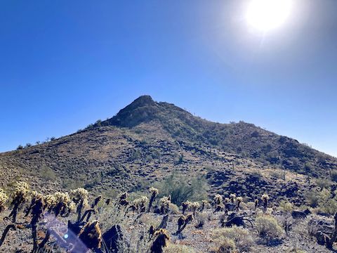 Ludden Mountain: I negotiated the cholla without being stabbed. I crossed the upper part of the draw on the left. There were no cholla on the other side.