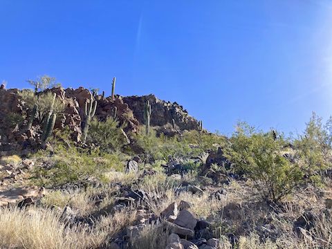 I slipped my way upwards to this point, 170 ft. below Ludden Mountain's summit. I guessed it was a 45% slope: It's actually 54%. Yikes. Not what I was expecting. Past my comfort zone. I had exercised. I was good. I bailed.