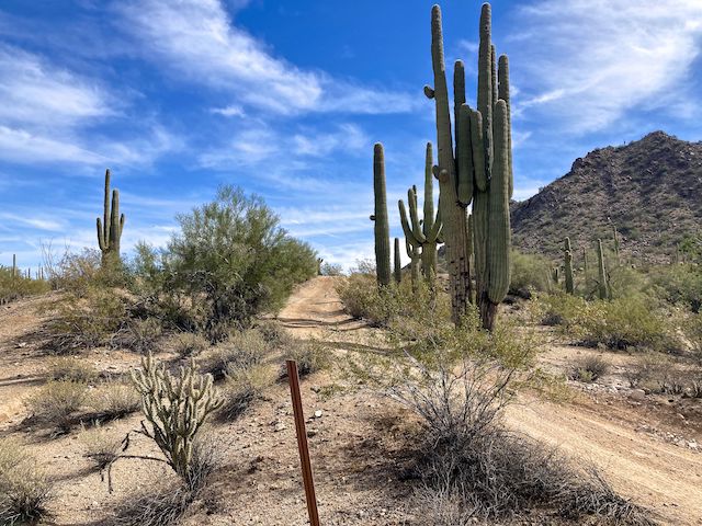 As steep as Butterfield Stage Trail gets. Weee!
