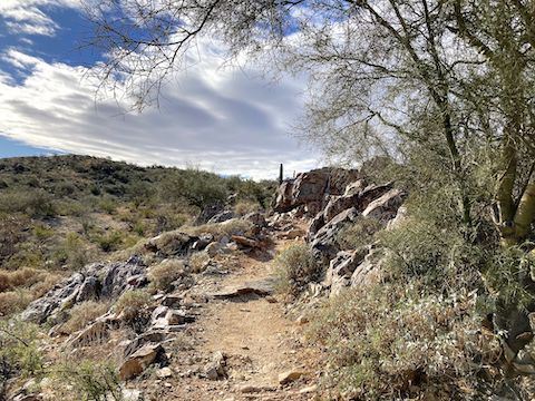 South Mountain Park: The upper part of Holbert Trail climbs 280 ft. in 0.6 mi., crossing the Dobbins Lookout road along the way.