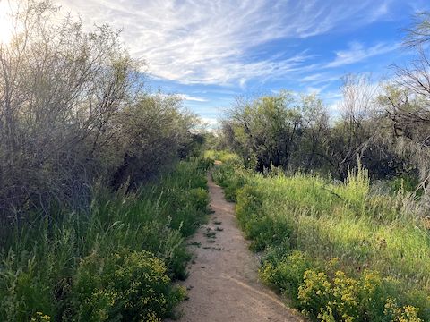 As narrow and "wild" as Reach 11 trails get. Trails are mostly wide & smooth.