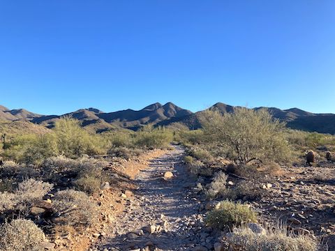 Sunrise Peak: Early morning on Sunrise Trail. The antenna farm on Thompson Peak, visible for most of the hike, is just off screen left (north).