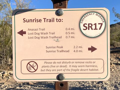 Sunrise Peak: McDowell Sonoran Preserve is so thoroughly signed you have to put serious effort into getting lost. The 0.4 mi. from AS3 to SR17 has a moderate 6.3% slope.