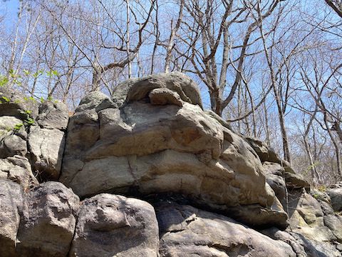This boulder above Ashby Hollow looks like a face.