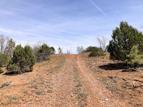 Cottonwood Trail #508: Note the lack of even good sitting shade elsewhere on this hike (here FR 132B).