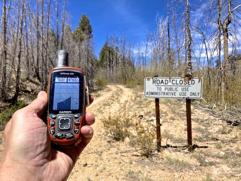 However, unauthorized folks like myself have to turn back at the 9,800 ft. level due to the Mount Graham red squirrel refugium. (Lest you be fined $50,000 and endure a stint in Federal Pound Me In The Ass Prison.)