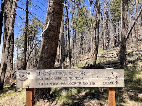 Mount Graham: Except it wasn't.