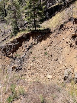 Mount Graham: Washout on Big Creek Trail #320A.
