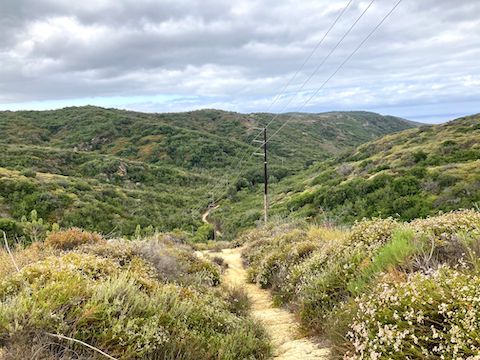 Crystal Cove State Park: Looking back down Moro Canyon. The powerline trail is steep overall, but the first 150 ft. were hella steep. Moro Ridge on the left.