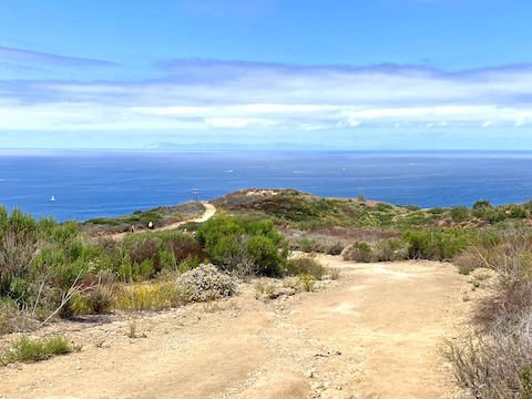 Crystal Cove State Park: On Moro Ridge Road, at the top of the Big "Fat" Incline, looking southwest, towards the Pacific Ocean. That knoll is not the Abalone Point Lookout, which is out of sight, below the powerline. Catalina Island visible 34 miles away.