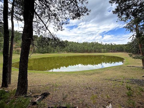 Potato Lake is two miles down the draw from Baker Butte. Looking west, you can see the bowl the lake sits in, as well as the open north end on the right. Depending on how close you are to the lake it is ½ mile around, or less.