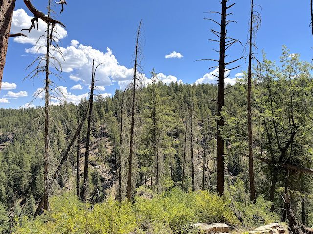 Looking across Barbershop Canyon to McClintock Ridge.