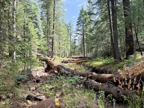 About as difficult as Alder Canyon got.