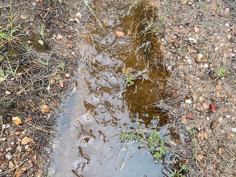 A River Runs Through It