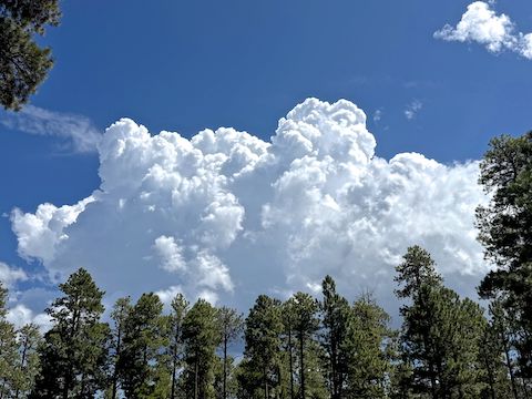 Thunder in the clouds above Alder Canyon at 10:45. Thankfully, it didn't rain.