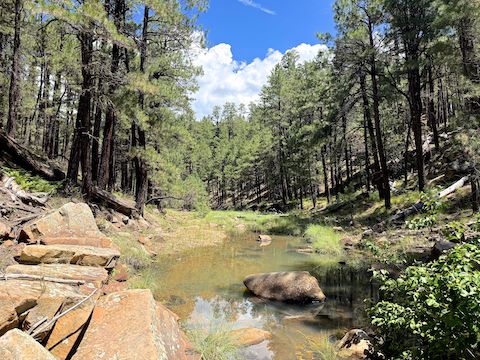 Alder Canyon was dry two weeks ago. There was no deadfall the final half mile.