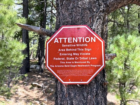 "They put up signs to keep me out, but to keep Mother Nature in ..."
