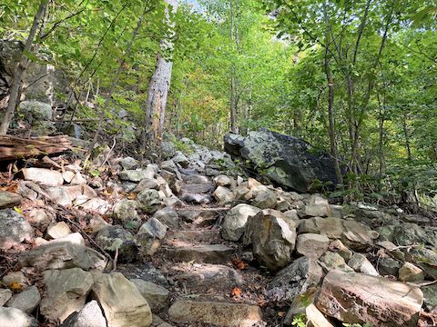 Typical Appalachian Trail climb up the Buzzard Hill rollercoaster.