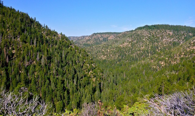 Looking south, down Pine Canyon.