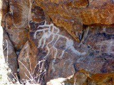 Indian Spring Petroglyphs