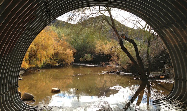 Trail #100 tunnel under Cave Creek Road
