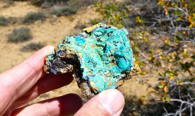 Chrysocolla with botryoidal formation, featuring malachite and azurite.