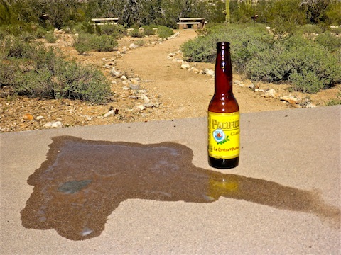 Tragedy struck when I spilled my beer.