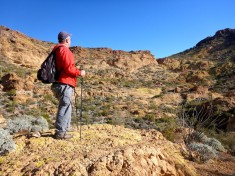 Preston McMurry gazing out at the Goldfield Mountains.