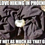 I love hiking in Phoenix, but not as much as that guy. (2016)