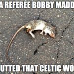 SFA referee Bobby Madden: Gutted that Celtic won. (2016)