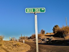 Beer Tree Xing: Actual road sign in Globe, AZ.