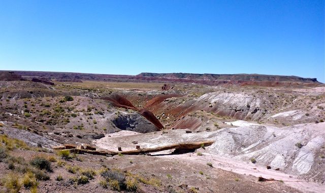 Looking down at the Onyx Bridge, across the Lithodendron Wash basin to the unnamed mesa, on which you can see the Painted Desert Inn.