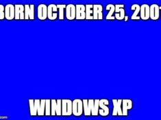 Windows XP, Blue Screen of Death