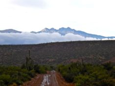 Looking from A-Cross Ranch Road, towards cloud-obscured Four Peaks.