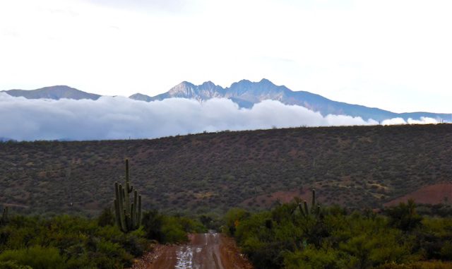 Looking from A-Cross Ranch Road, towards cloud-obscured Four Peaks.