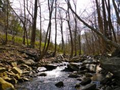 Little Antietam Creek