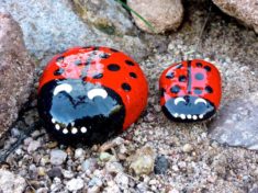 Found these painted stones at the base of the trail sign for the intersection of Dutchman Trail #104 and Second Water Trail #236.