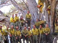 Granite Mountain Hotshots at the alligator juniper they saved during the Doce Fire. The tree is believed to be the world's oldest and largest alligator juniper. Chris MacKenzie (photographer) and Eric Marsh are not pictured. I recognize Andrew Ashcraft and Brendan McDonough (bottom, 2nd and 3rd from left). If anyone can identify the other hotshots, please let me know.