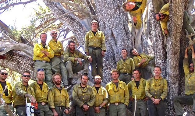 Granite Mountain Hotshots at the alligator juniper they saved during the Doce Fire. The tree is believed to be the world's oldest and largest alligator juniper. Chris MacKenzie (photographer) and Eric Marsh are not pictured. I recognize Andrew Ashcraft and Brendan McDonough (bottom, 2nd and 3rd from left). If anyone can identify the other hotshots, please let me know.