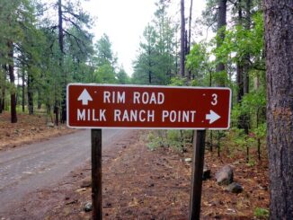 I parked just past the Milk Ranch Point sign, though you could easily drive at least to Donahue Trail #27.