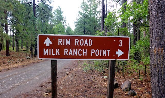 I parked just past the Milk Ranch Point sign, though you could easily drive at least to Donahue Trail #27.