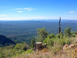 Looking south, down the Mogollon Rim, from the top of Miller Canyon.