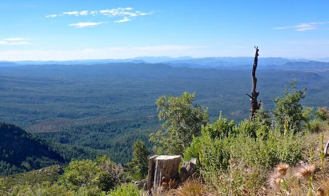 Looking south, down the Mogollon Rim, from the top of Miller Canyon.